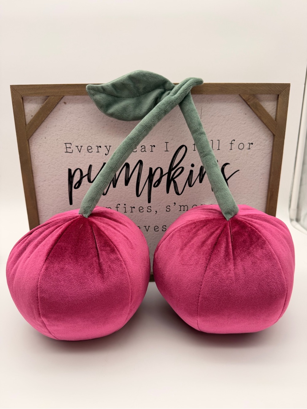 Target Velvet Pink Cherry Pillow Duo with Green Stem